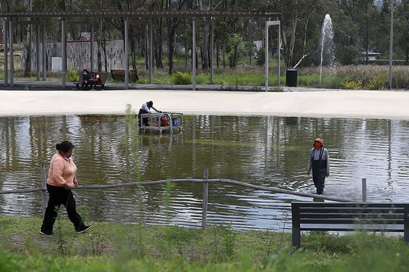 parque amalucan