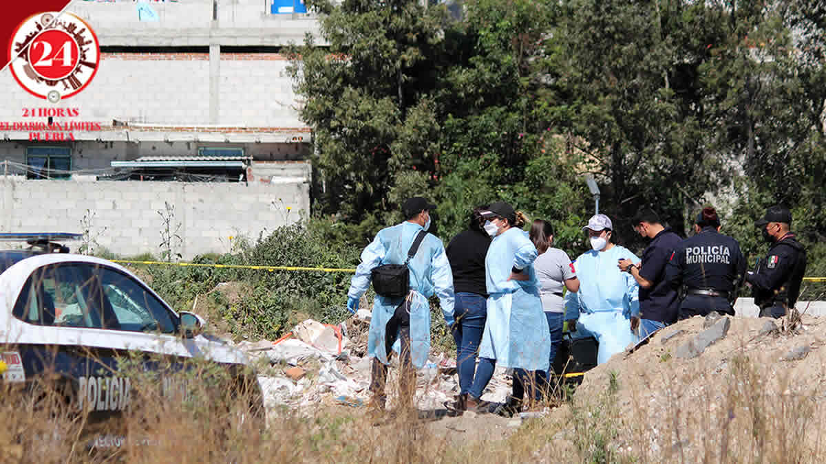 Encuentran cadáver desmembrado en la Jorge Murad; era devorado por los perros