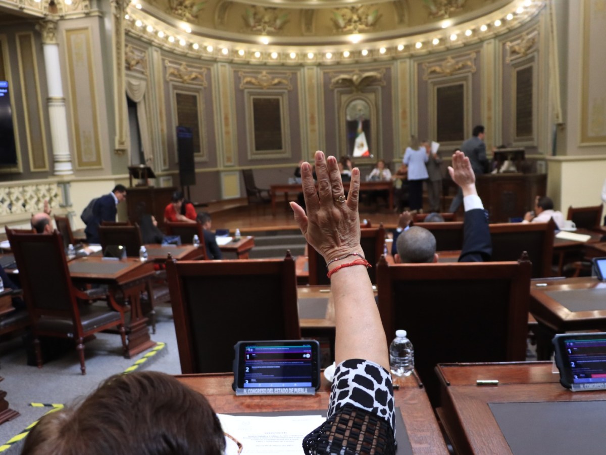 Análisis en el Congreso