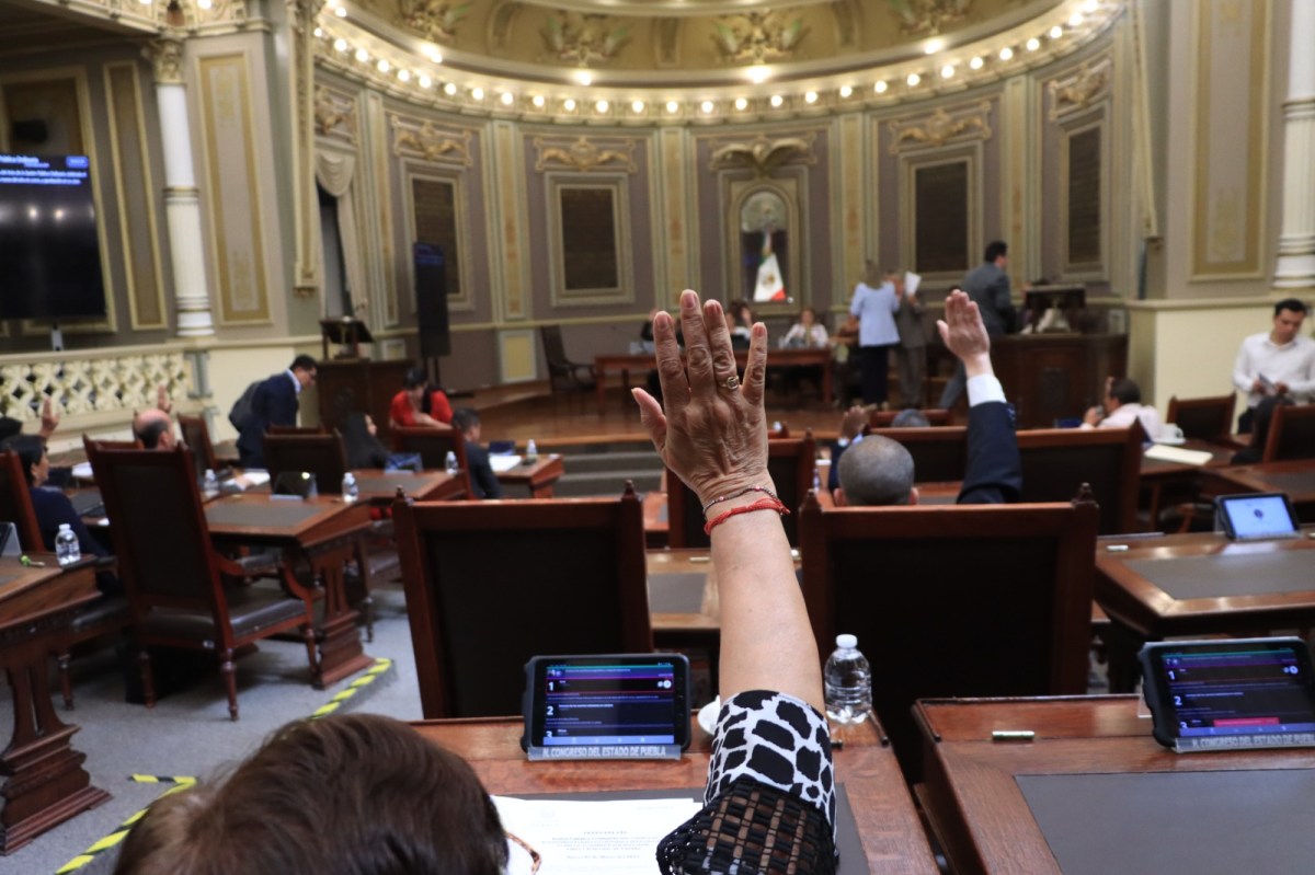 Análisis en el Congreso