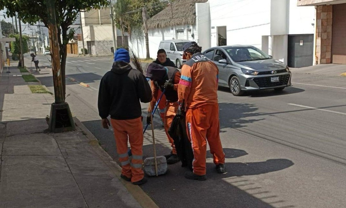 Ceniza /Barrido Puebla /Ilustración