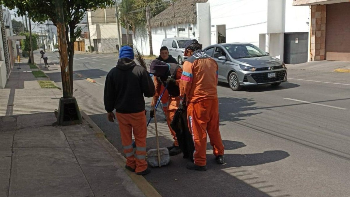 Ceniza /Barrido Puebla /Ilustración