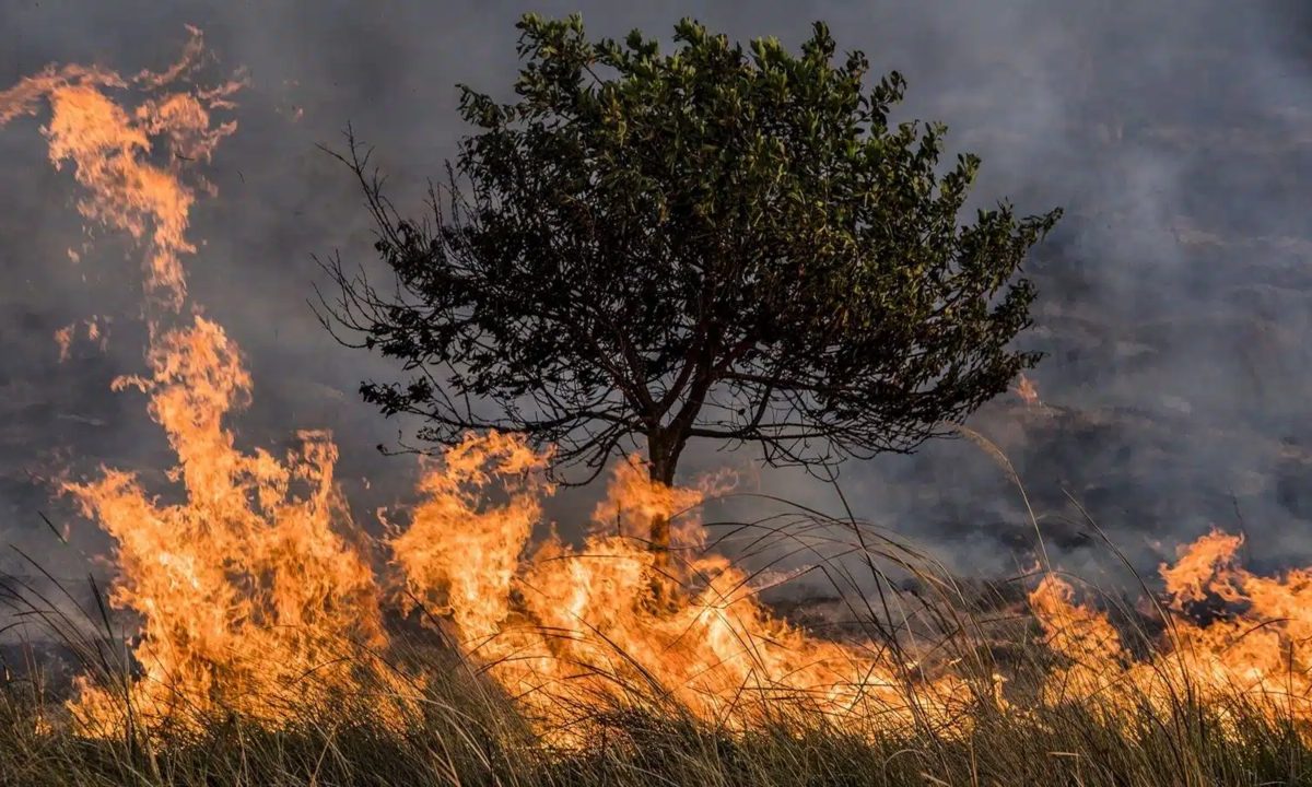 Aún hay incendios activos en 5 municipios