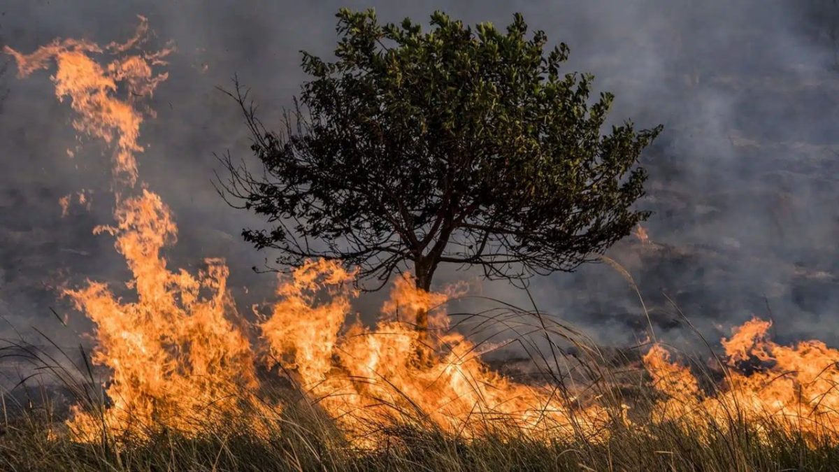 Aún hay incendios activos en 5 municipios