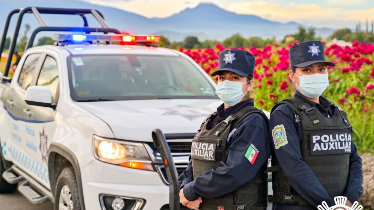 Policía Auxiliar