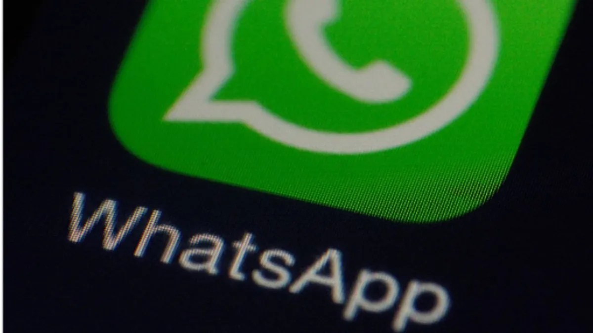 Foto:Especial|Tips para recuperar fotos borradas de WhatsApp