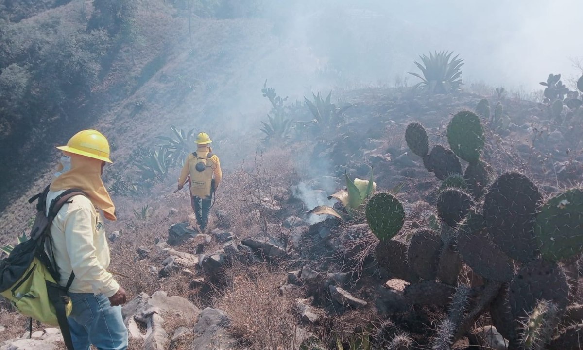 Con tecnología, buscan atacar los incendios lo más pronto posible