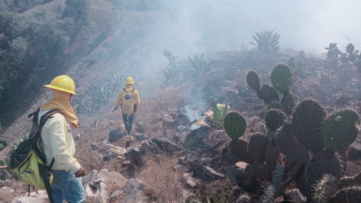 Con tecnología, buscan atacar los incendios lo más pronto posible