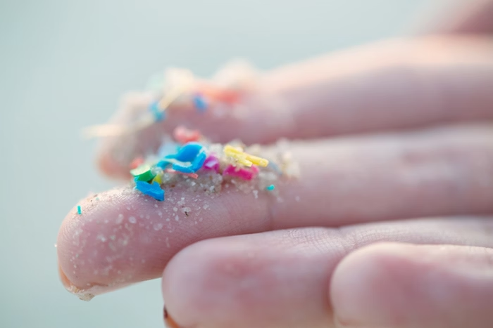 Foto: Especial. Estudio realizado recientemente reveló presencia de microplásticos en los testículos de humanos y canes analizados.