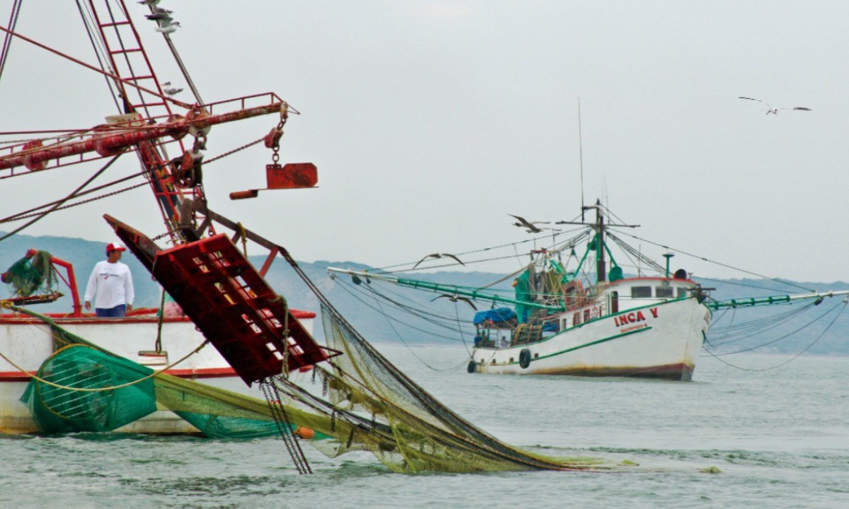 Quadratín