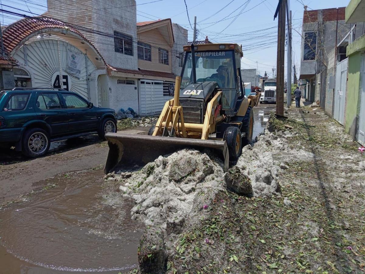 Comentó que se retiraron árboles caídos, producto de la tormenta, en 11 Norte y 12 Poniente, 27 Poniente y 21 Sur | Foto: Especial