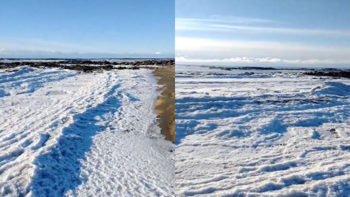 Foto: Captura @pampaIIIpelis. Si bien el fenómeno no es habitual en condiciones climáticas extremas e idóneas, es posible que el mar llegue al punto de congelamiento.