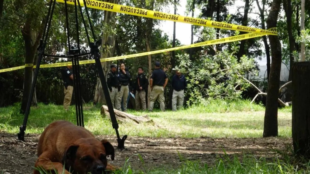 Foto: Cuartoscuro/ Van 25 perros muertos encontrados en el Bosque de Nativitas, hasta el momento no hay avance en los casos