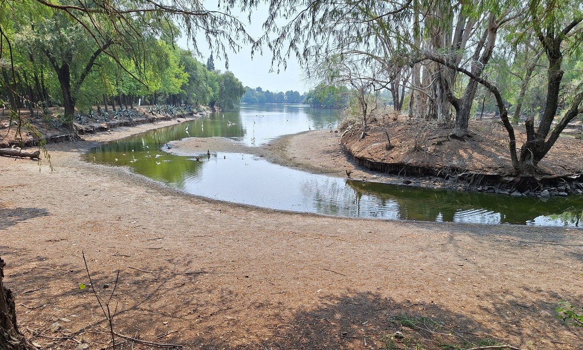 Verónica Mastretta indicó que el cuerpo de agua de la Laguna de San Baltazar ha padecido de las altas temperaturas | Foto: Paola Mácuitl