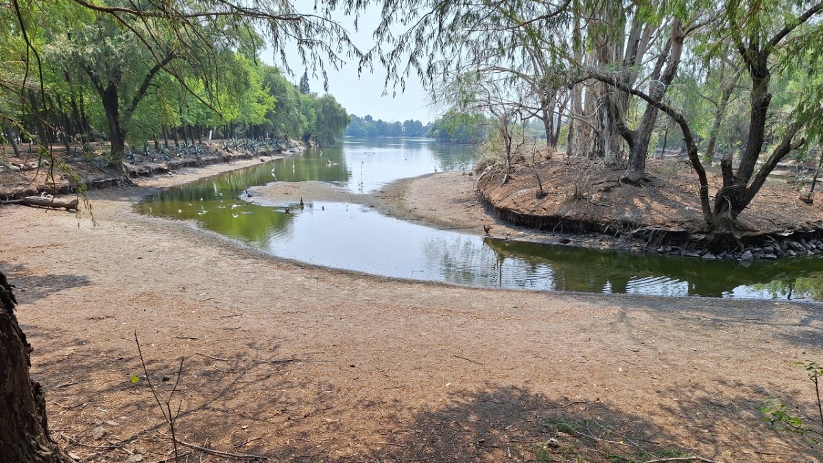 Verónica Mastretta indicó que el cuerpo de agua de la Laguna de San Baltazar ha padecido de las altas temperaturas | Foto: Paola Mácuitl