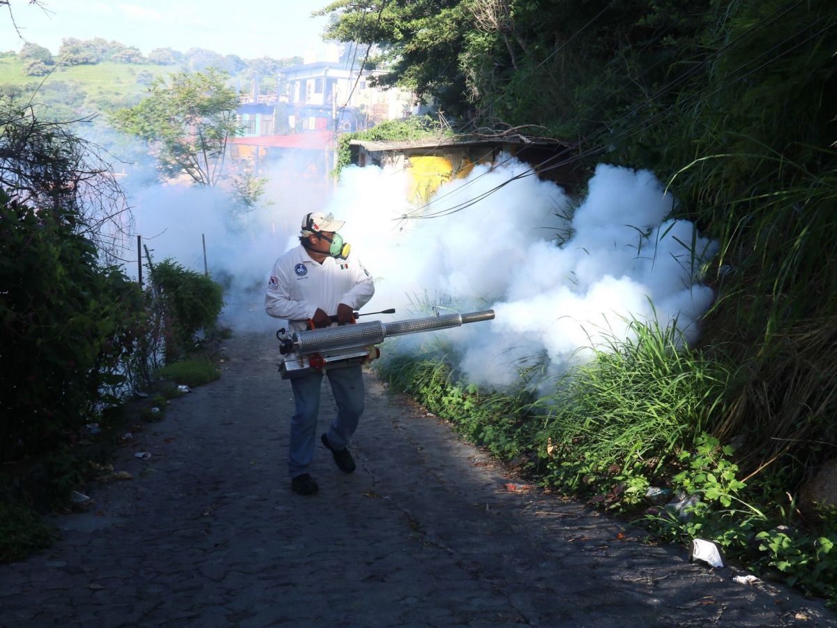 En lo que va de 2024, Izúcar de Matamoros se ha consolidado como el municipio con mayor número de contagios de dengue en el estado de Puebla, con un preocupante 27.9% de los casos registrados. Esta alarmante cifra fue divulgada por el gobierno del estado, encabezado por Sergio Salomón, a través de la Secretaría de Salud.