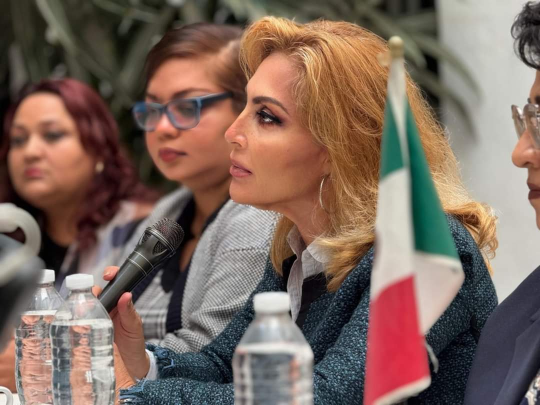 La ex aspirante a la alcaldía de San Pedro Cholula, Erika de la Vega exigió a las autoridades que dejen de proteger a Eduardo Alcántara y le den resolución a su caso tras ser violentada sexualmente por el diputado local hace tres años