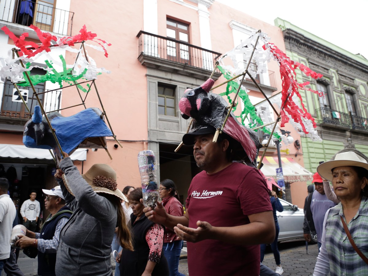 Los productores afirman que cuentan con los permisos federales que regulan su actividad, a pesar de la oposición de defensores de los animales.