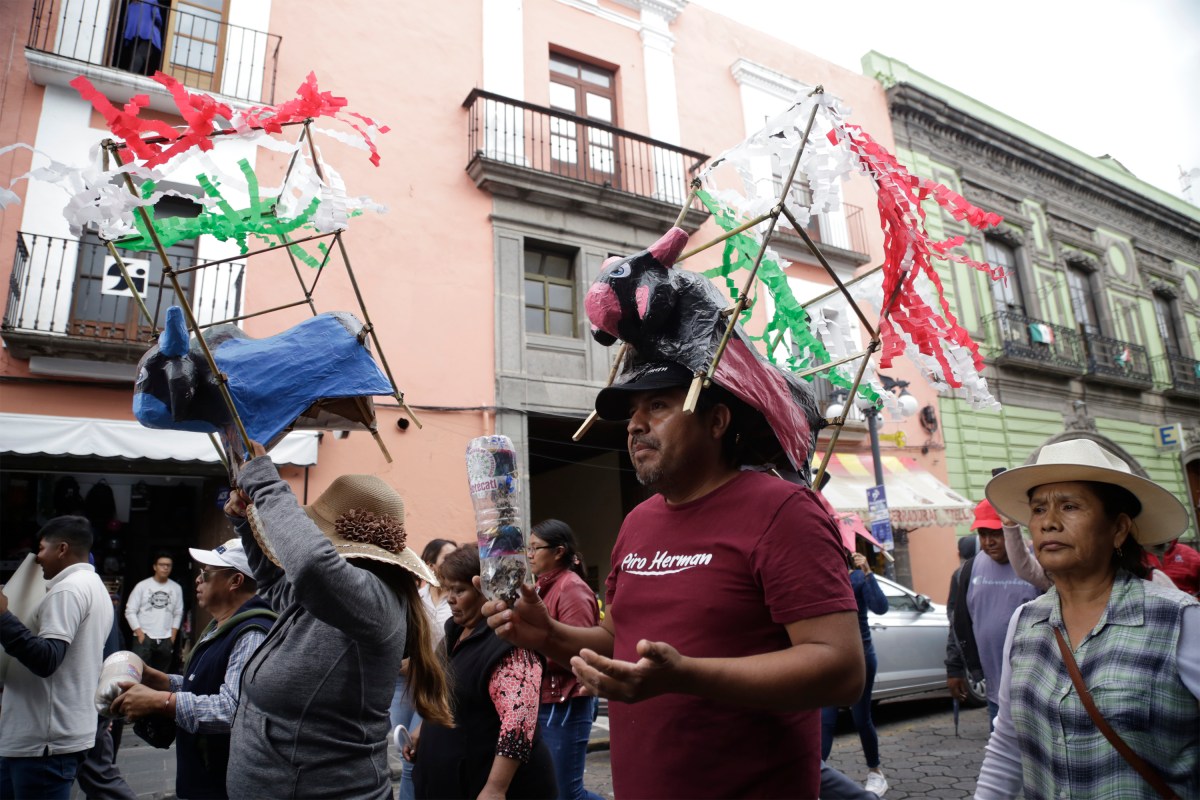 Los productores afirman que cuentan con los permisos federales que regulan su actividad, a pesar de la oposición de defensores de los animales.