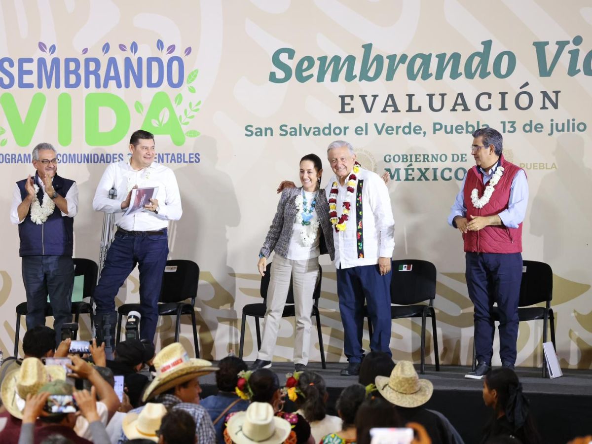 el presidente Andrés Manuel López Obrador y la presidenta electa, Claudia Sheinbaum Pardo, visitaron el municipio de San Salvador el Verde en el estado de Puebla para supervisar los avances del programa Sembrando Vida.